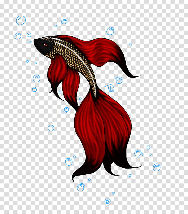 Betta Fish Design, Availia, red fish transparent background PNG clipart