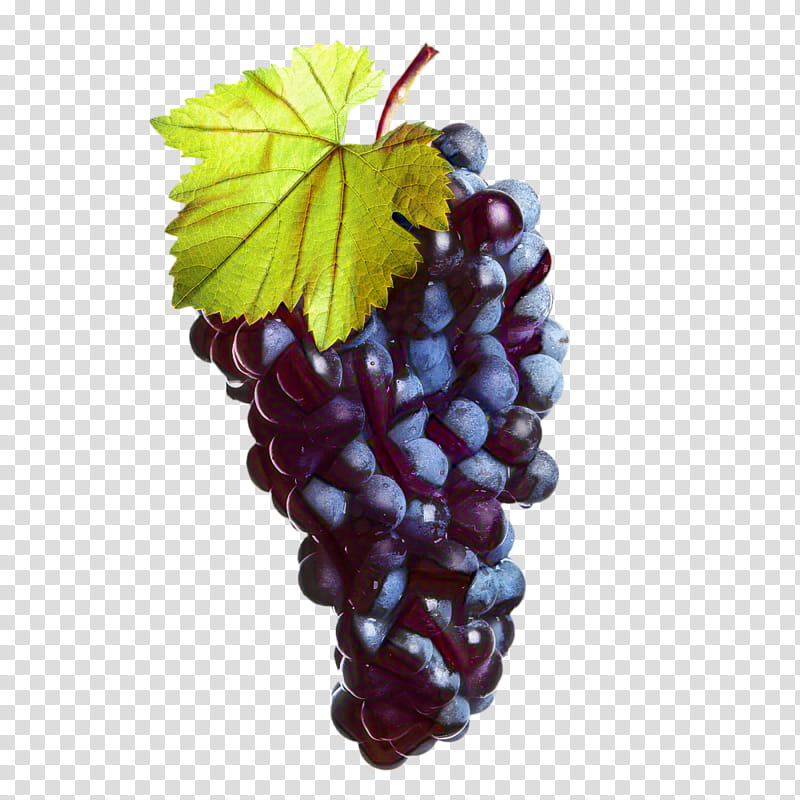 Grape Leaf, Wine, Saperavi, Red Wine, White Wine, Food, Sultana, Fruit transparent background PNG clipart