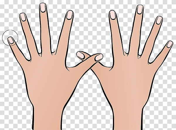 Stop Sign, Nail, Thumb, Hand, Nail Biting, Mavala, Little Finger, Nail Polish transparent background PNG clipart