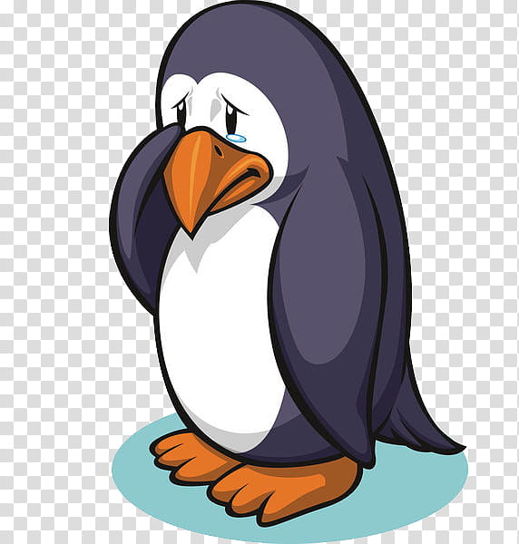 Penguin, Crying, Sadness, Happiness, Bird, Beak, Flightless Bird, King Penguin transparent background PNG clipart