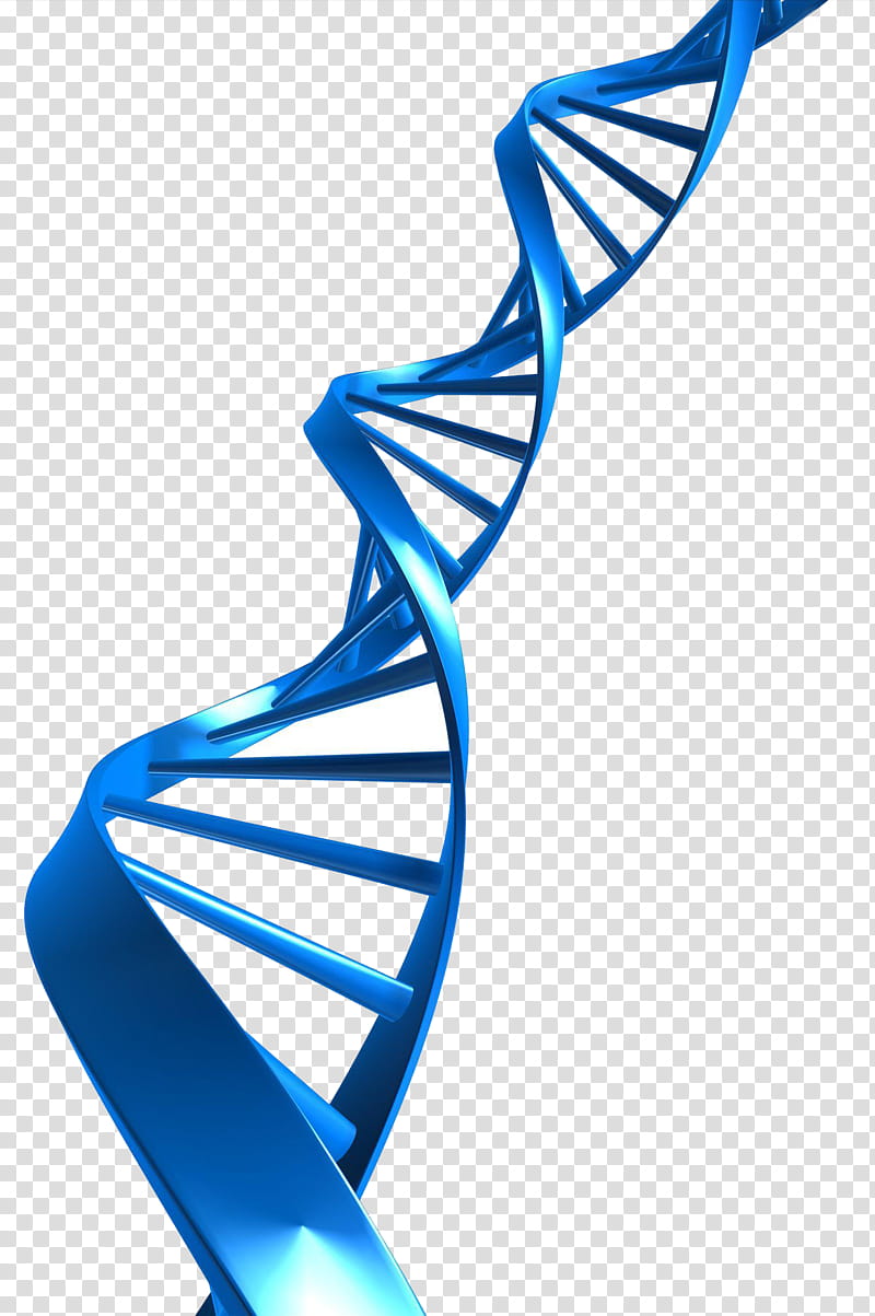 Double Helix Dna Nucleic Acid Double Helix Dna Profiling DNA
