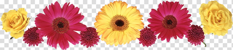 flower border flower background floral line, Yellow, Petal, Eye, Cut Flowers, Plant, Pollen, Gerbera transparent background PNG clipart