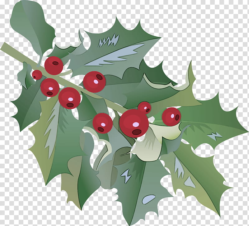 Holly, American Holly, Plant, Leaf, Tree, Flower, Hollyleaf Cherry, Woody Plant transparent background PNG clipart