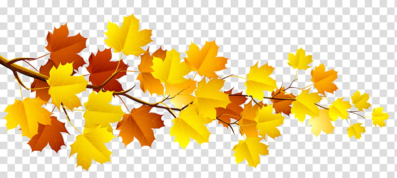 Autumn swatches, yellow and maroon leafed plant illustration] transparent background PNG clipart