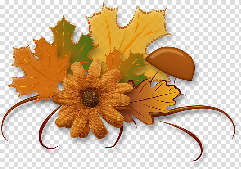 Autumn Design, Curlicue, Flower, Floral Design, Leaf, English Marigold, Orange, Yellow transparent background PNG clipart