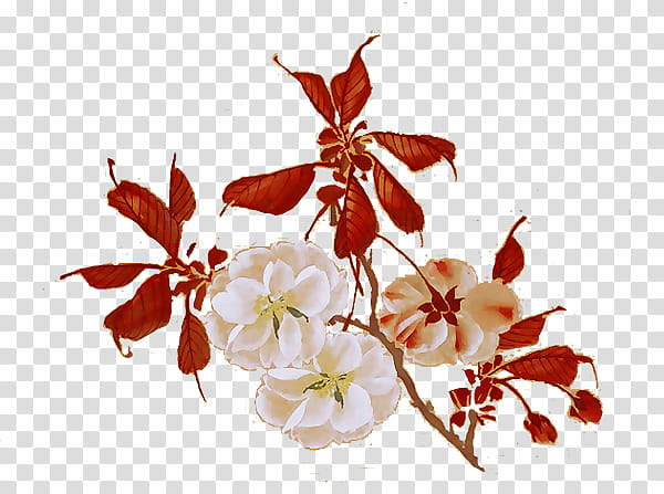 sakura s, red and beige flower transparent background PNG clipart