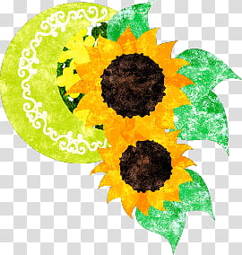 The icons of sun flower, himawari-icon- transparent background PNG clipart