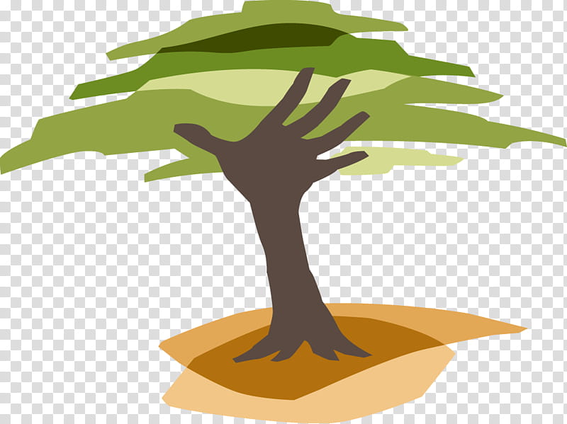 Environment Day, Eden Reforestation Projects, Organization, Forestry, Tree Planting, Deforestation, Forest Restoration, Natural Environment transparent background PNG clipart