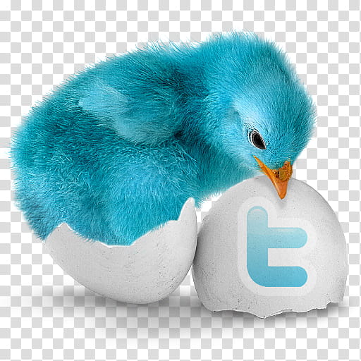 Twitter , Twitter logo transparent background PNG clipart