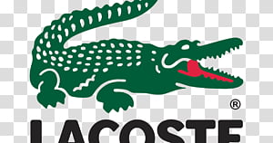 lacoste symbol alligator crocodile