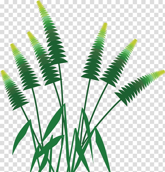 Palm Tree, Leaf, Palm Trees, Forest, Landscape, Leaf Wreath, Plants, Green transparent background PNG clipart