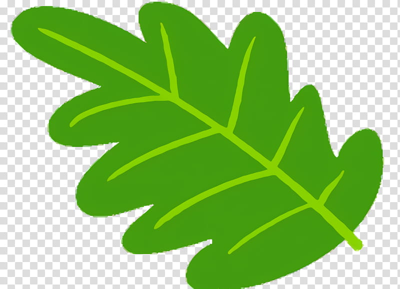 Family Tree, Leaf, Plant Stem, Green, Plants, Symbol, Wood Sorrel Family transparent background PNG clipart