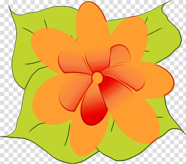 Flowers, Petal, Cut Flowers, Floral Design, Leaf, Symmetry, Fruit, Plants transparent background PNG clipart
