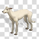 Spore creature Whippet dog , white dog illustration transparent background PNG clipart