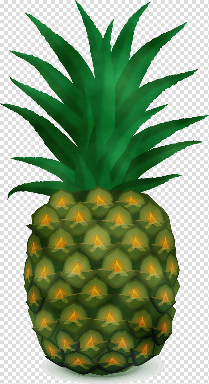 Background Green, Pineapple, Drawing, Ananas, Fruit, Plant, Natural Foods transparent background PNG clipart