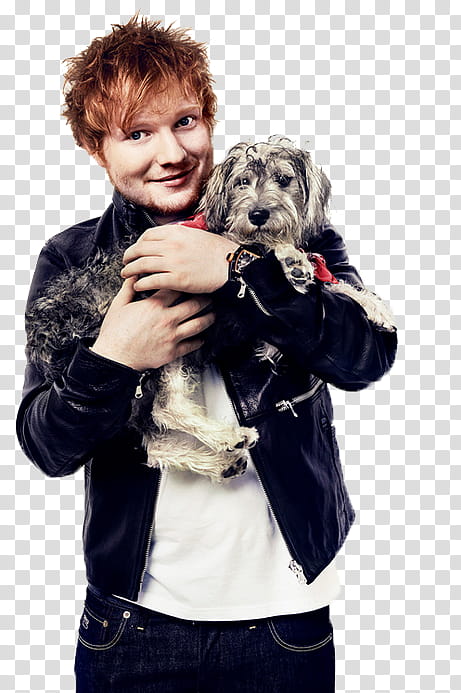 Ed Sheeran , Ed Sheeran carrying gray dog transparent background PNG clipart