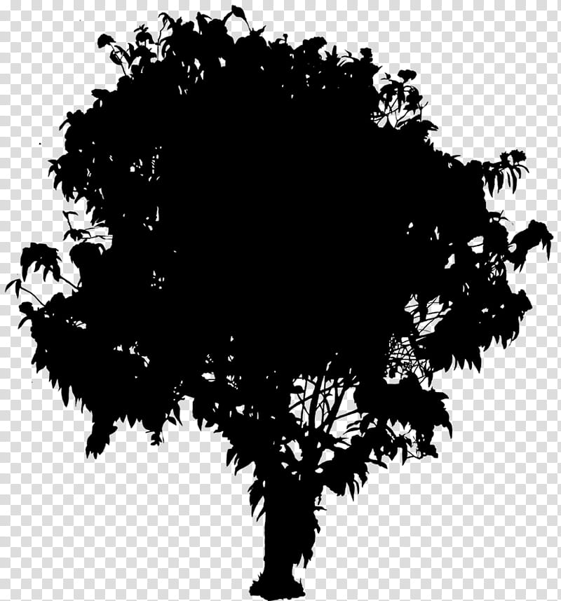Tree Branch Silhouette, Computer Graphics, Shadow, Leaf, Woody Plant, Blackandwhite transparent background PNG clipart