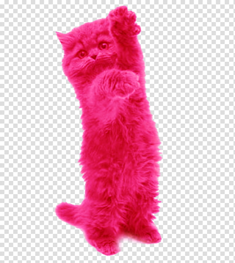 cat pink cat toy small to medium-sized cats fur, Small To Mediumsized Cats, Dog Toy, Tail, Kitten, Cat Supply transparent background PNG clipart