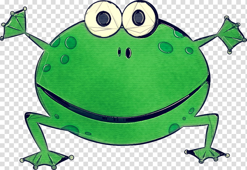 green cartoon frog shrub frog, Hyla, Leaf transparent background PNG clipart