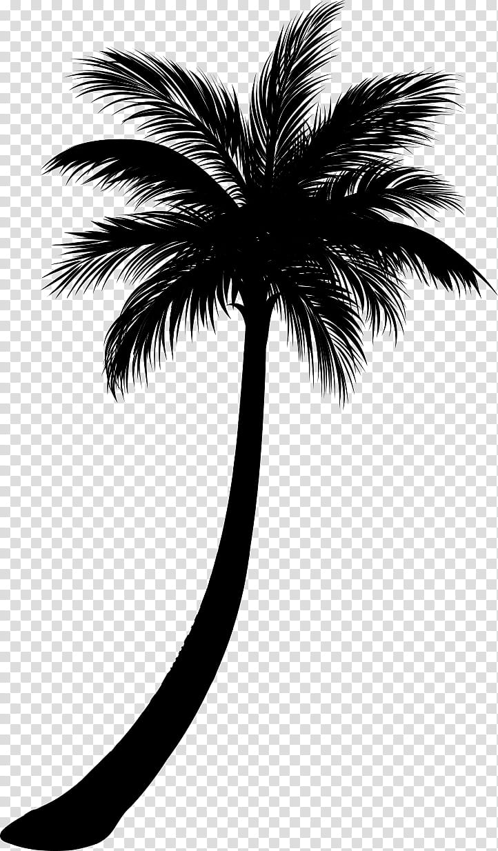Date Tree Leaf, Asian Palmyra Palm, Counterstrike Global Offensive, Gamebanana, Black White M, Steam, Date Palm, Tropico transparent background PNG clipart