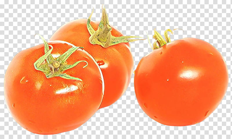 Tomato, Cartoon, Natural Foods, Solanum, Bush Tomato, Fruit, Plum Tomato, Local Food transparent background PNG clipart