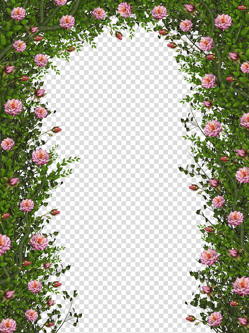 Creeping Roses, green and pink floral arch entrance transparent background PNG clipart