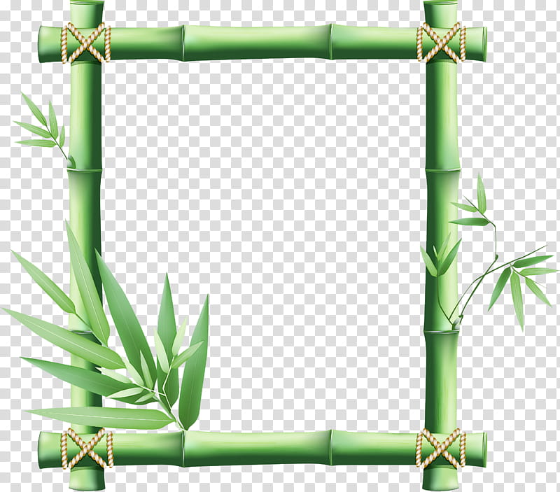 frame, Green, Plant, Bamboo, Plant Stem, Grass, Vascular Plant, Frame transparent background PNG clipart