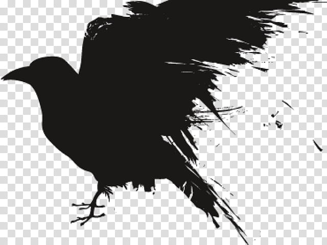 Family Silhouette, Common Raven, Crow Family, Bird, Beak, Black And White
, Wing, Feather, American Crow transparent background PNG clipart