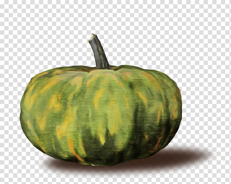 Watermelon, Winter Squash, Calabaza, Gourd, Pumpkin, Pumpkin Bread, Vegetable, Toast transparent background PNG clipart