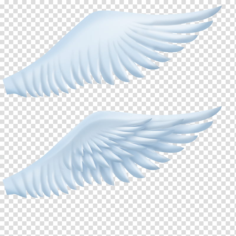 MMD Fake Wings  DL, two white wings transparent background PNG clipart