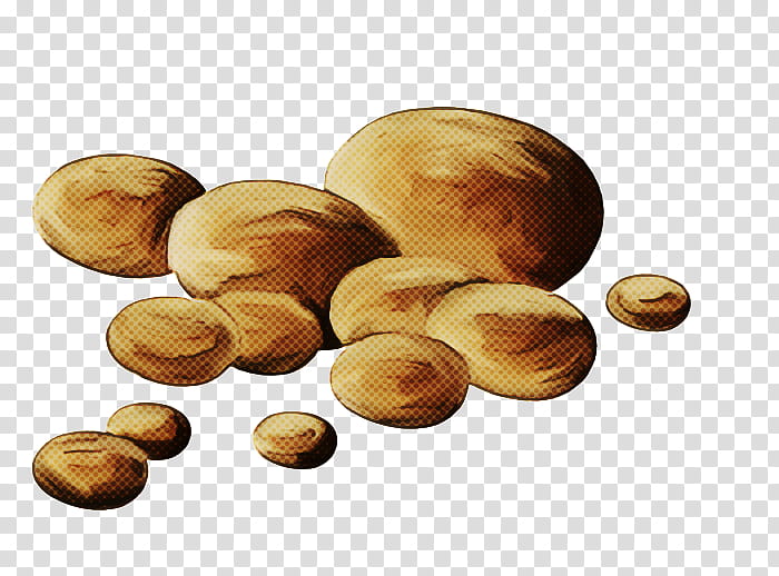 food nut hazelnut nuts & seeds plant, Nuts Seeds, Ingredient transparent background PNG clipart