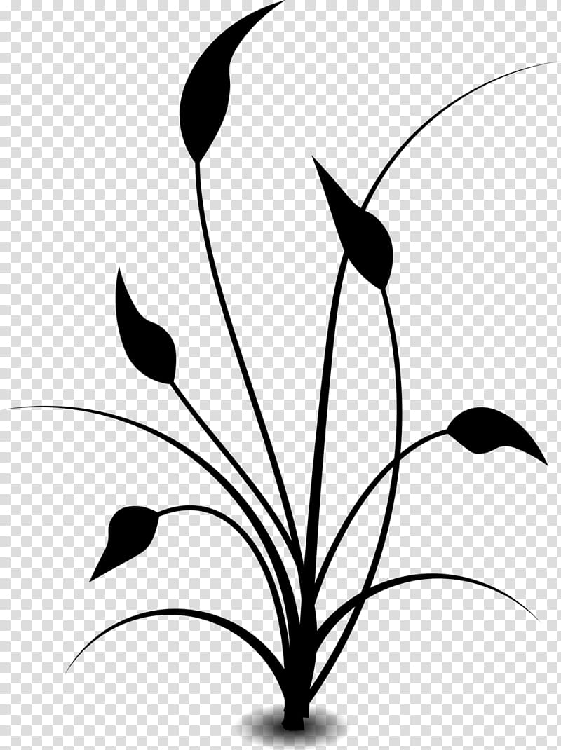 Tree Branch Silhouette, Soybean, Drawing, Line Art, Blackandwhite, Leaf, Plant, Flower transparent background PNG clipart