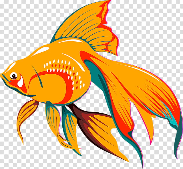 Fish, Goldfish, Koi, Aquarium, Siamese Fighting Fish, Guppy, Tropical Fish, Drawing transparent background PNG clipart