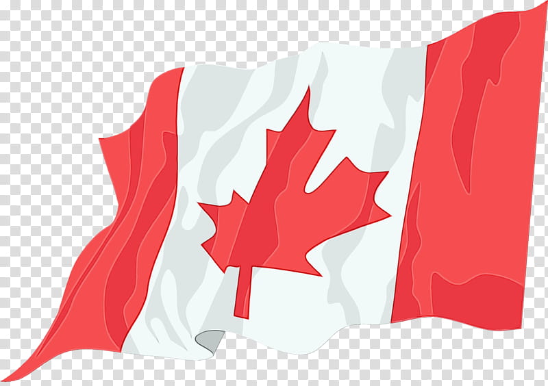 India Flag National Flag, Canada Day, Flag Of Canada, Flag Of India, Flag Of The United States, Flag Of Brazil, Union Jack, National Flag Of Canada Day transparent background PNG clipart