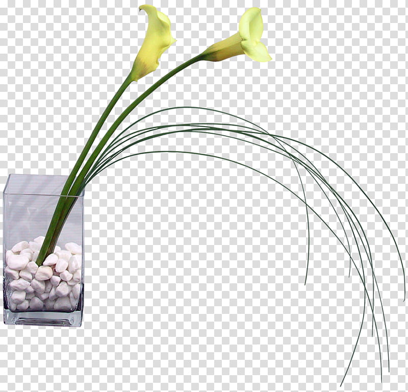Summer Floral, Floral Design, Vase, Flower, Flower Bouquet, Cut Flowers, Flowerpot, Calla Lily transparent background PNG clipart