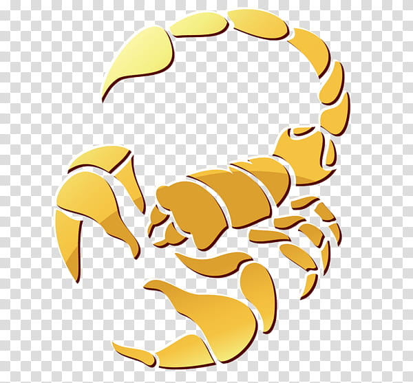 Seafood, Dungeness Crab, Scorpion, Zodiac, Astrology, Astrological Sign, Classical Element, Horoscope transparent background PNG clipart