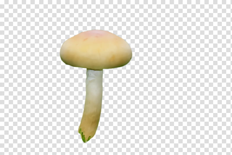 mushroom agaricomycetes agaricaceae agaricus edible mushroom, Watercolor, Paint, Wet Ink, Bolete, Champignon Mushroom, Fungus, Plant transparent background PNG clipart