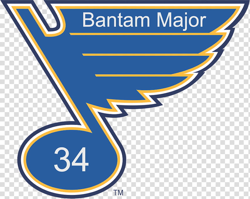 Ice, St Louis Blues, National Hockey League, Ice Hockey, Logo, Fredericton, Sports, Aaa transparent background PNG clipart