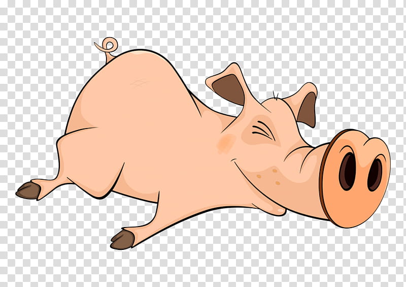 Cat And Dog, Wild Boar, Cartoon, Pig, Nose, Skin, Head, Snout transparent background PNG clipart