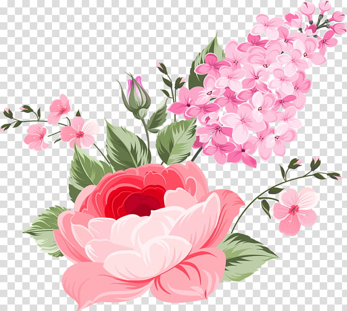 Bouquet Of Flowers Drawing, Garden Roses, Peony, Cut Flowers, Pink Flowers, Cabbage Rose, Floral Design, Watercolor Painting transparent background PNG clipart