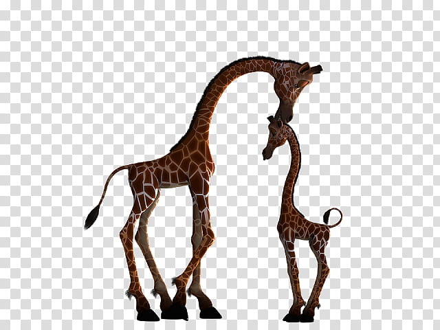 Metal, Giraffe, Silhouette, Cartoon, Drawing, Animal Figure, Giraffidae, Wildlife transparent background PNG clipart