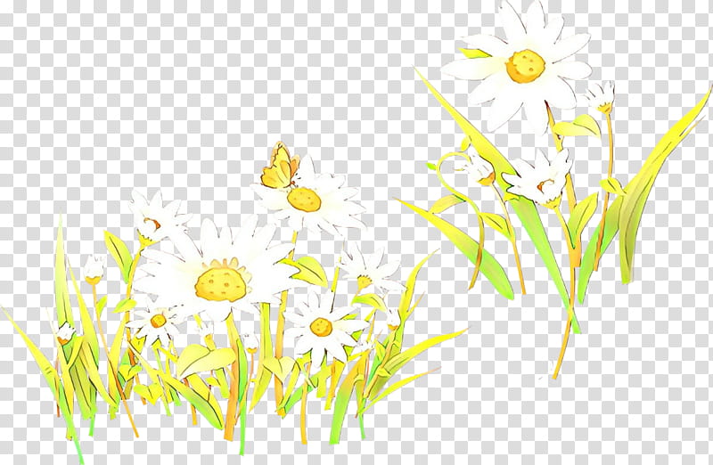 Floral Flower, Cartoon, Oxeye Daisy, Dandelion, Roman Chamomile, Meadow, Wildflower, Floral Design transparent background PNG clipart