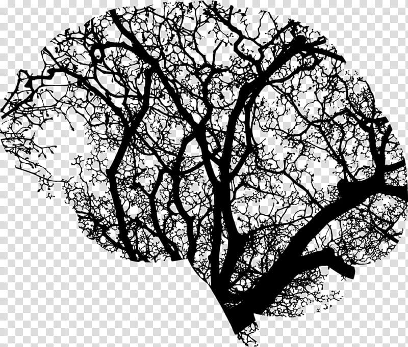 Tree Trunk Drawing, Brain, Human Brain, Neuroimaging, Neuron, Branch, Human Head, Psychology transparent background PNG clipart