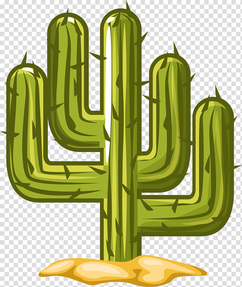 Green Tree, Succulent Plant, Plants, Vase, Flowerpot, Lepismium, Cactus, Plant Stem transparent background PNG clipart