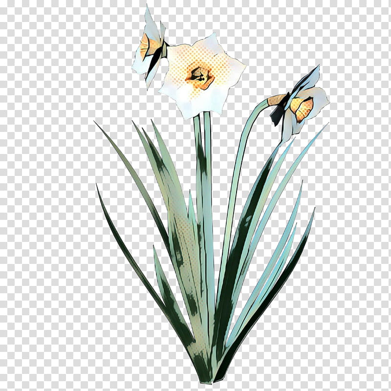 pop art retro vintage, Plants, Flower, Grass, Petal, Narcissus, Amaryllis Family, Crocus transparent background PNG clipart