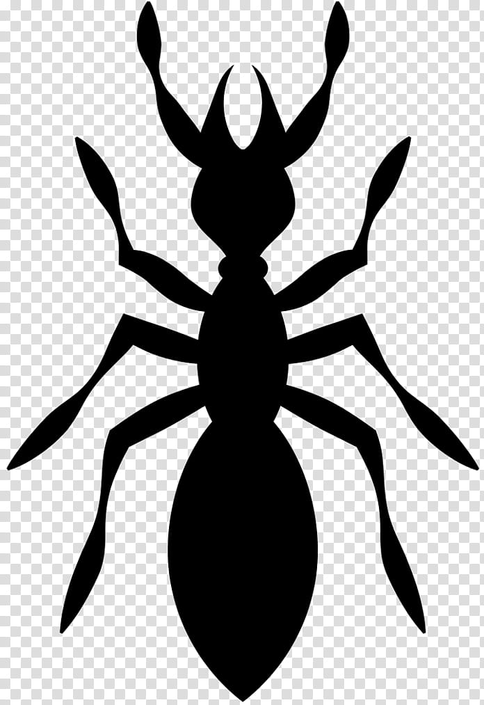 Insect Black, Pest Control, Black White M, Pollinator, Experience, Housing, Peripheral Nervous System, Arachnid transparent background PNG clipart