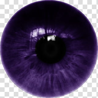 brushes, purple contact lens illustration transparent background PNG clipart