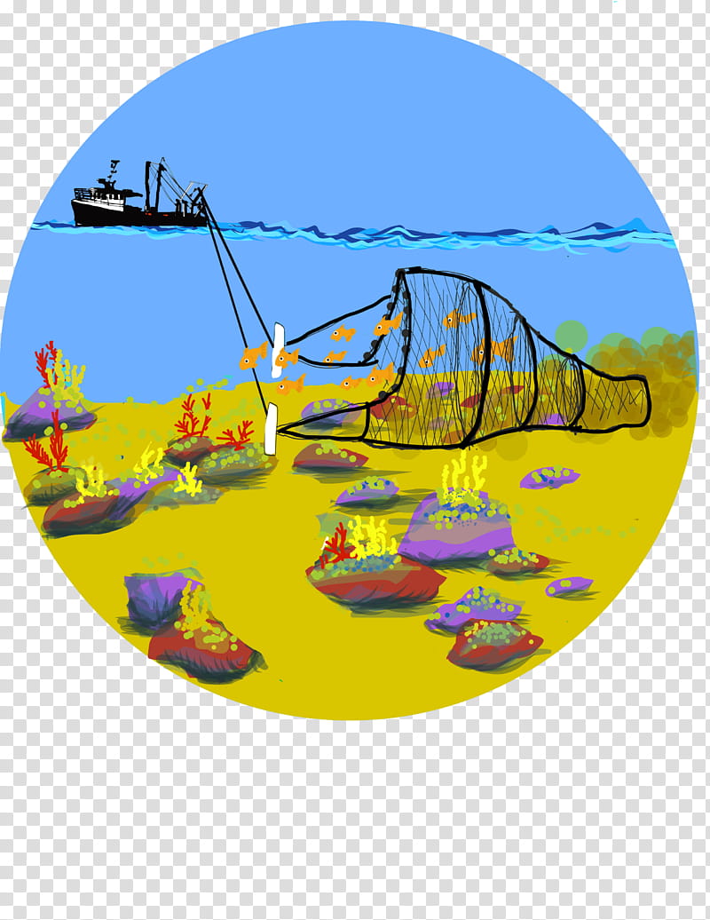 Fishing Nets transparent background PNG cliparts free download