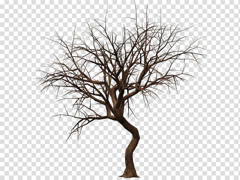 Trees , brown leafless tree painting transparent background PNG clipart