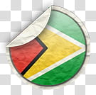 world flags, Guyana icon transparent background PNG clipart